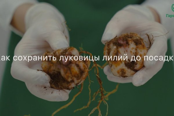 Кракен ссылка замена