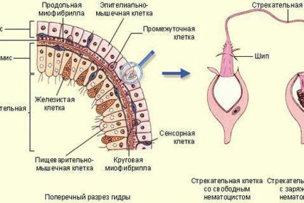 Kraken ссылки актуальные 2025 г