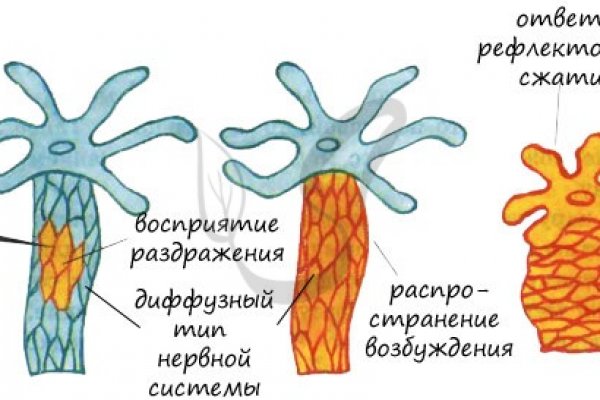 Кракен интернет