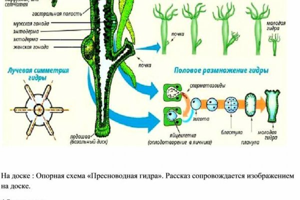 Kra48.cc Вход на сайт главная страница