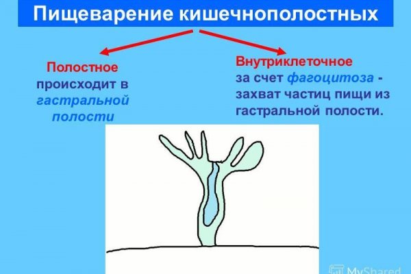 Kraken площадка