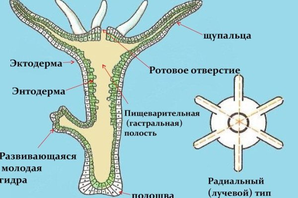 Kraken что это за сайт