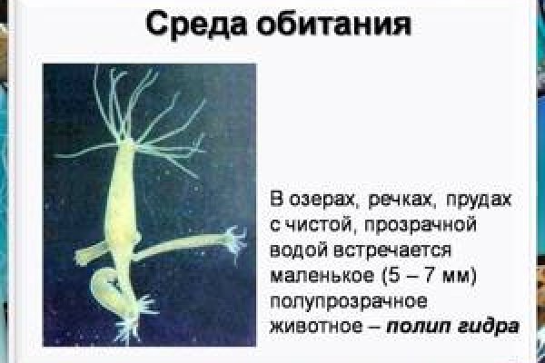 Кракен kr2web in